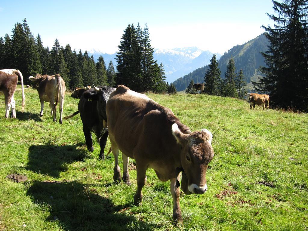 Haus Aigner Apartment Fischen im Allgaeu Bilik gambar